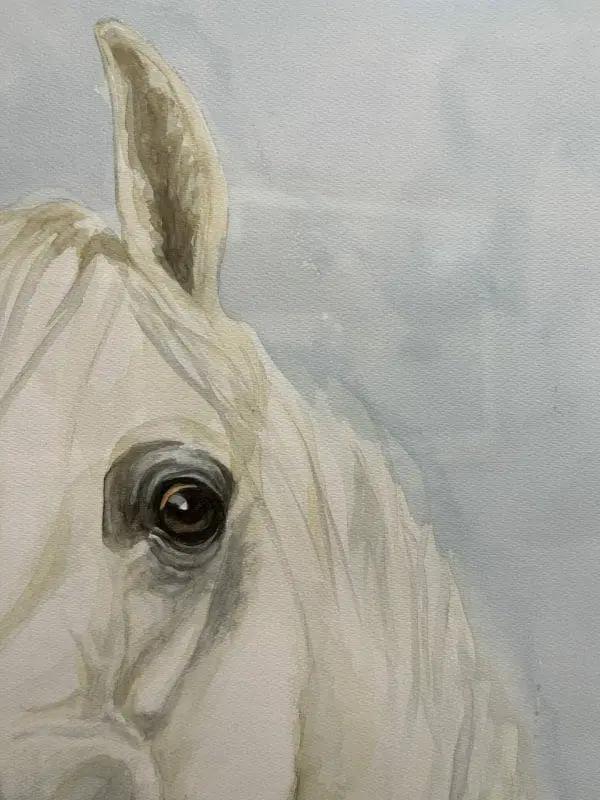 “ Arabian Horse” H. J. Hessler - immagine 5