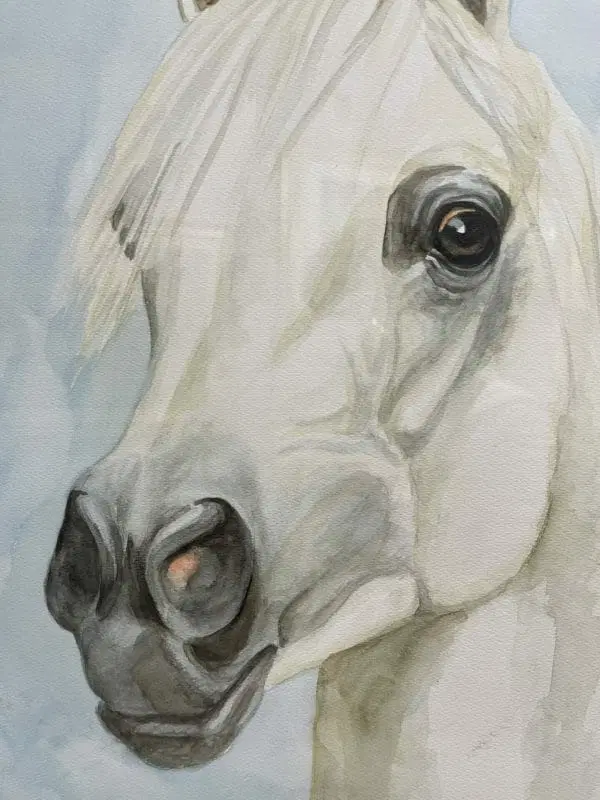 “ Arabian Horse” H. J. Hessler - immagine 3