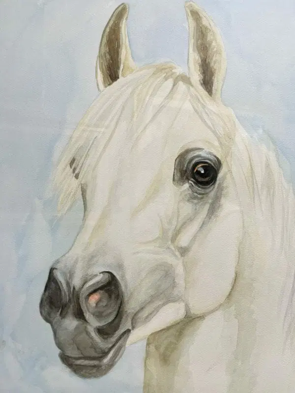 “ Arabian Horse” H. J. Hessler - immagine 2