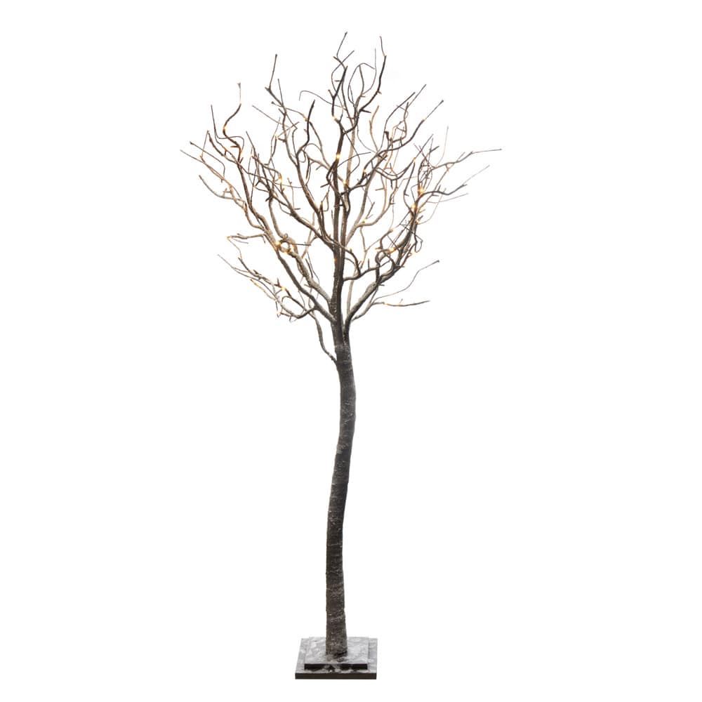 L’Oca Nera Nel Bosco di Sera Albero Grande con 180 leds 180 h